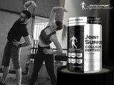 LEVRONE Joint Support 450 g (producto para juntas)